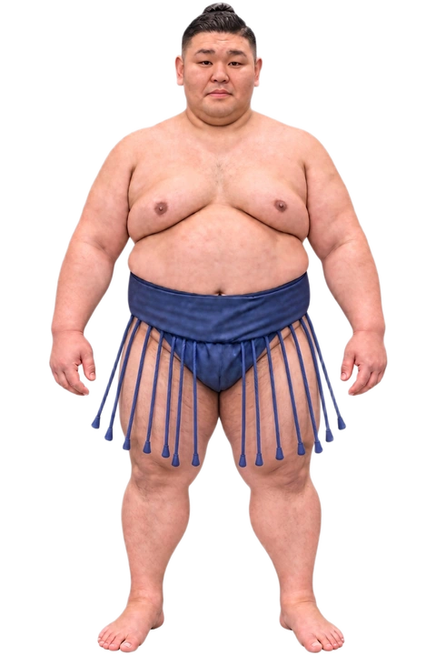 天鎧鵬 / TENKAIHO