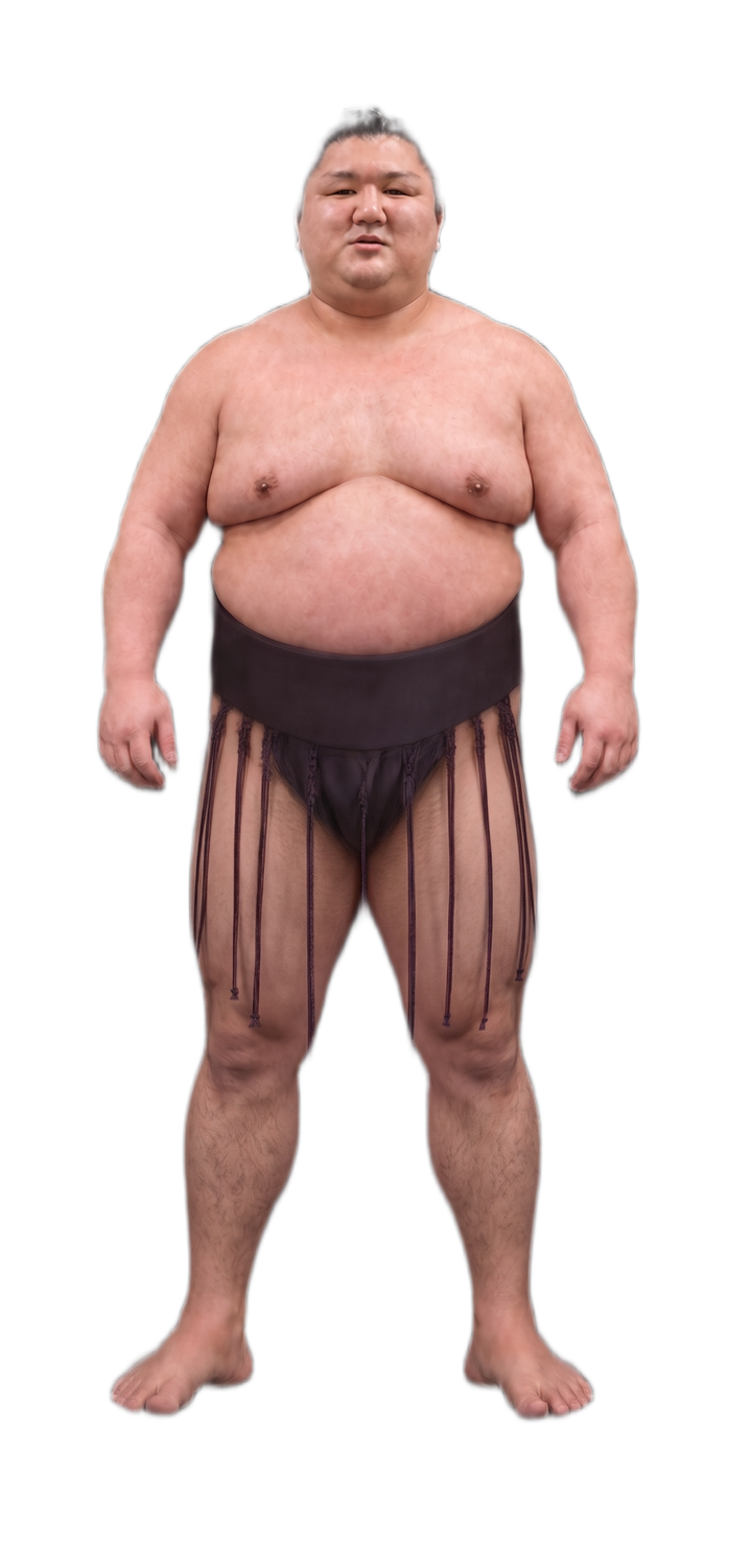 日本語 – Sumo Man
