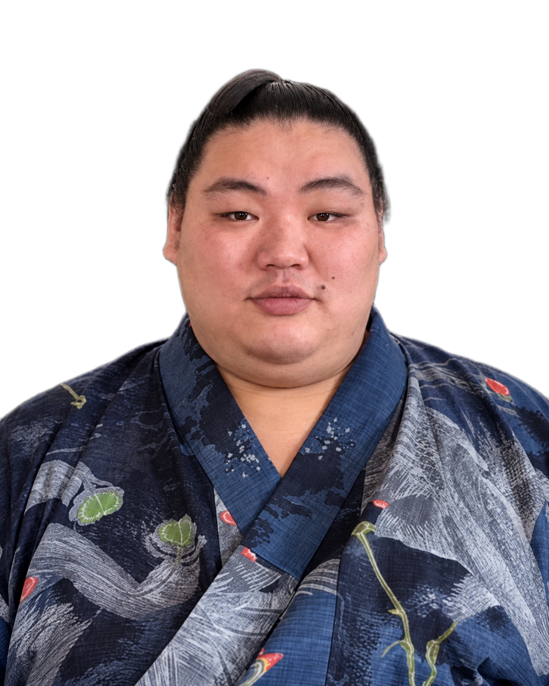大翔鵬 / DAISHOHO